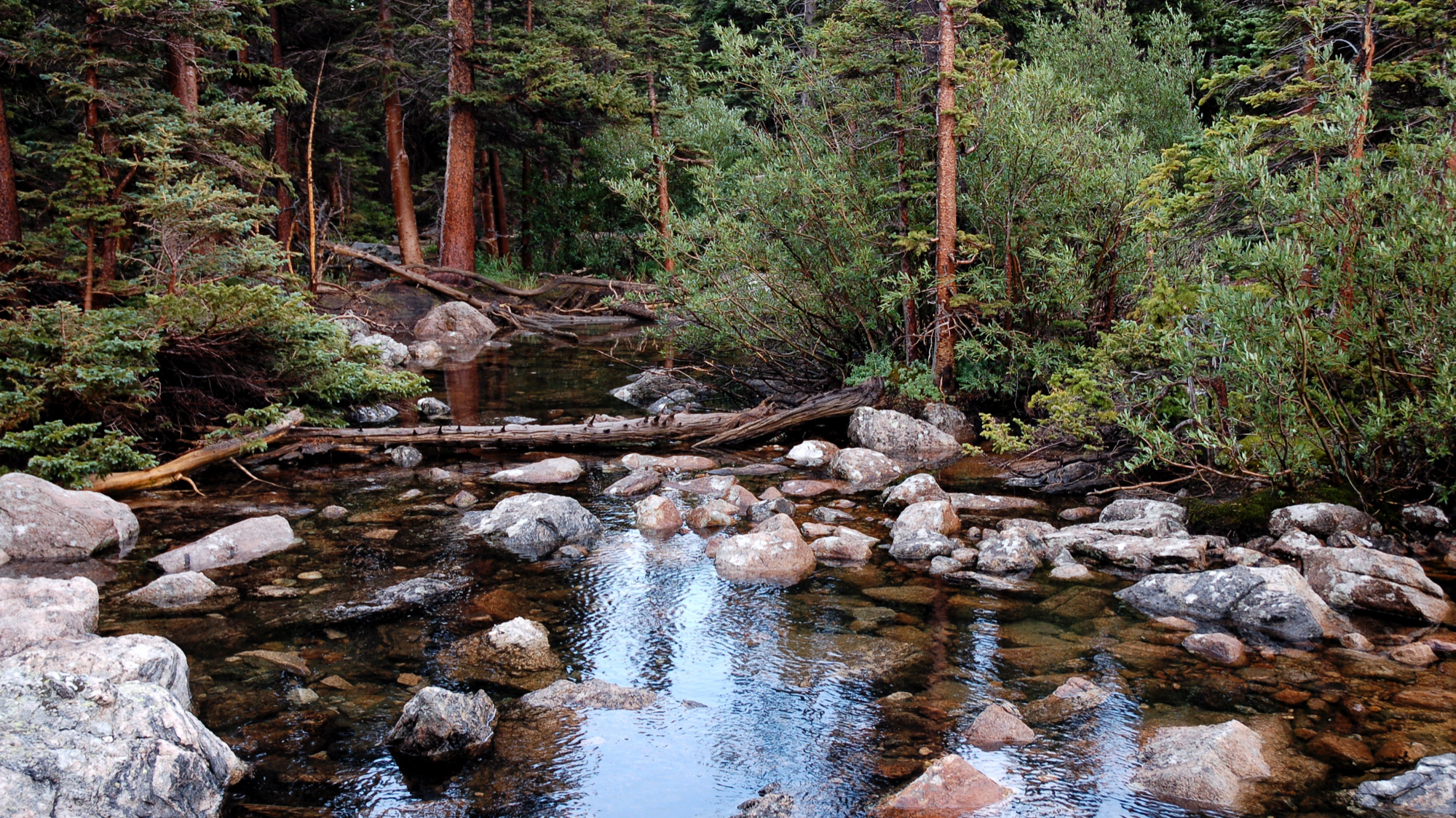 Pond near Lake Haiyaha